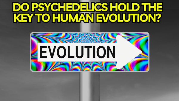 Do Psychedelics Hold the Key to Human Evolution?