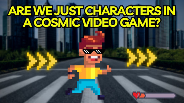 Are We Just Characters in a Cosmic Video Game?