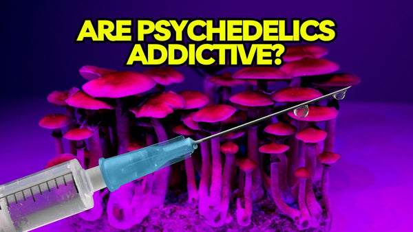 Are Psychedelics Addictive?