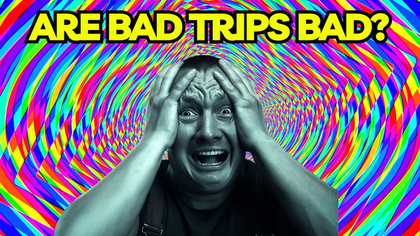 Are Bad Trips Bad?