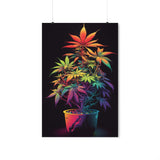 Colorful Cannabis