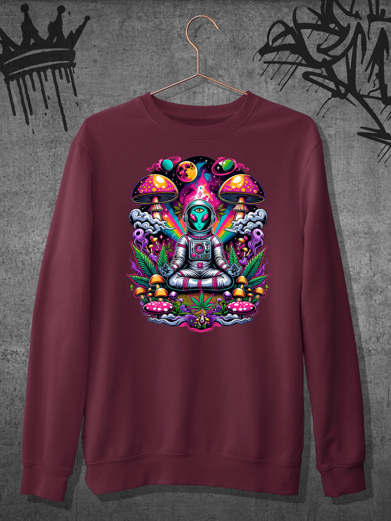 Alien Zen Crewneck