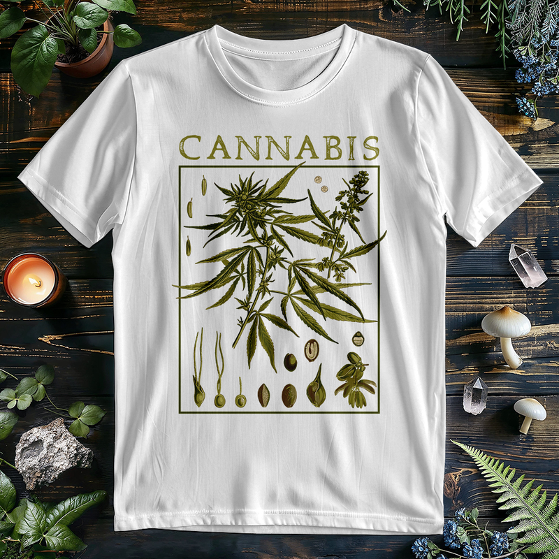 Cannabis