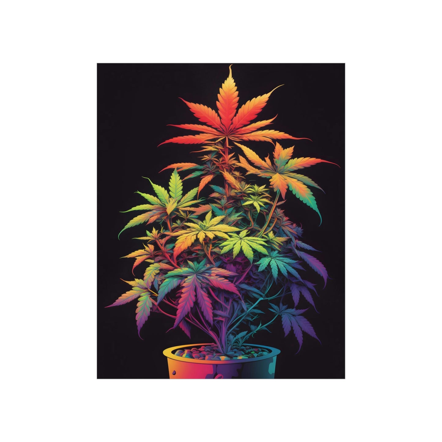 Colorful Cannabis