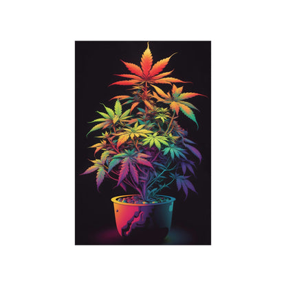 Colorful Cannabis