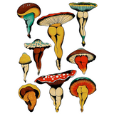 Sexy Mushrooms